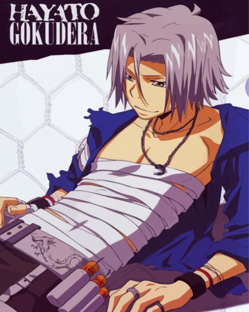 Hayato Gokudera Poster Paint By Numbers