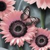 Pink Sunflowers And Butterfly Paint By Number