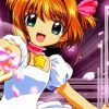 Sakura Kinomoto Cardcaptors Paint By Number