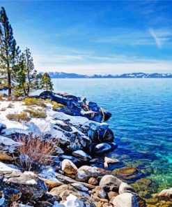 Snowy Emerald Bay Park Paint By Numbers
