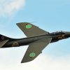 Black Hawker Hunter Paint By Number