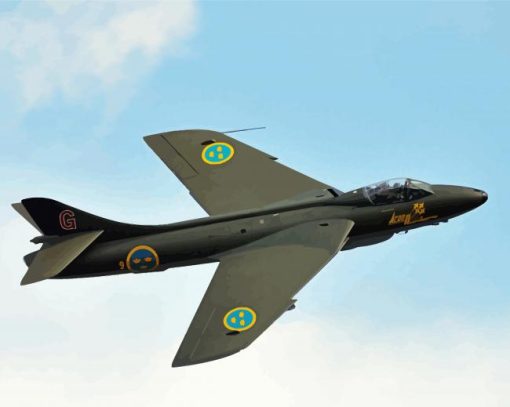 Black Hawker Hunter Paint By Number