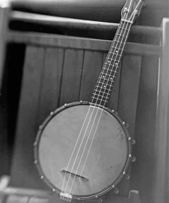 black And White Banjolele Paint By Numbers