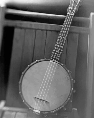 black And White Banjolele Paint By Numbers