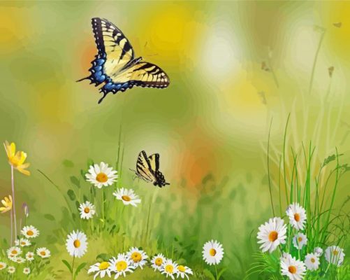 Daisy Flowers With Butterflies Paint By Numbers