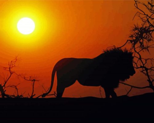 Lion Sunset Silhouette Paint By Numbers