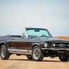 Black Classic 1967 Mustang Convertible Car Paint By Numbers