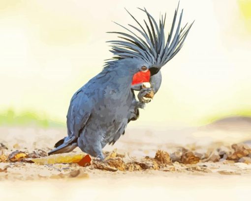 Black Palm Cockatoo Eating Paint By Numbers