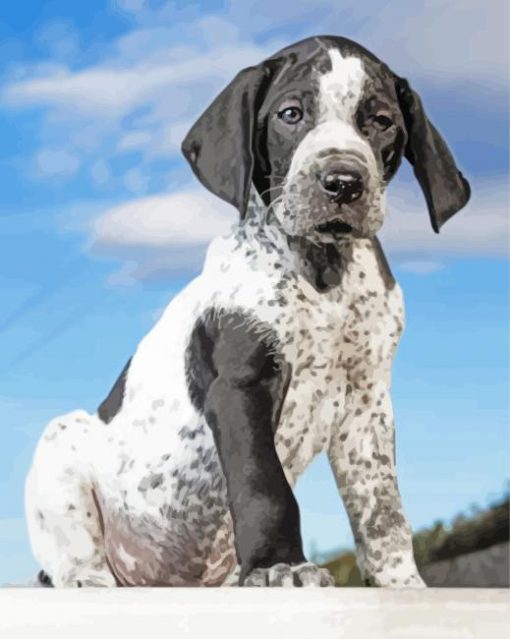 Black And White German Shorthair Pointer Dog Paint By Numbers