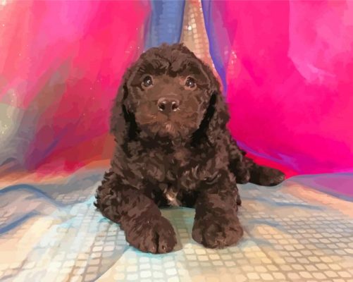 Black Goldendoodle Paint By Numbers