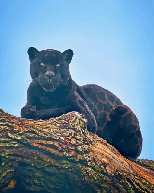 Black Jaguar Paint By Numbers