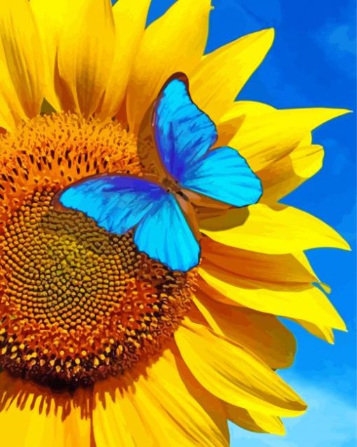 Blue Butterfly On Sunflower Paint By Numbers