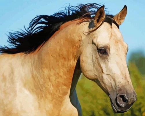 Buckskin Horse Face Paint By Numbers