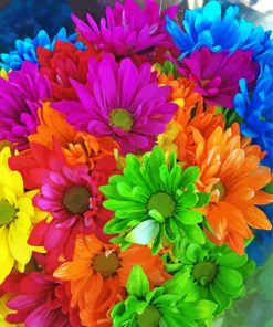 Colorful Daisy Flowers Paint By Numbers