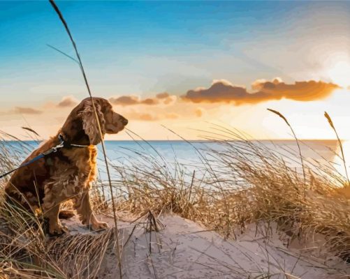 Cute Dog At Norfolk Beach Paint By Numbers