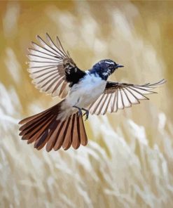 Flying Willie Wagtail Paint By Numbers