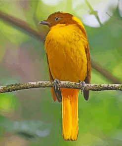 Golden Bowerbird On Stick Paint By Numbers