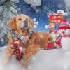 Golden Retriever Merry Christmas Paint By Numbers