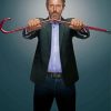 Hugh Laurie Dr House Paint By Numbers