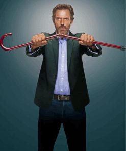 Hugh Laurie Dr House Paint By Numbers