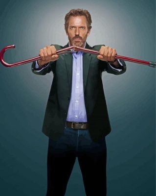 Hugh Laurie Dr House Paint By Numbers