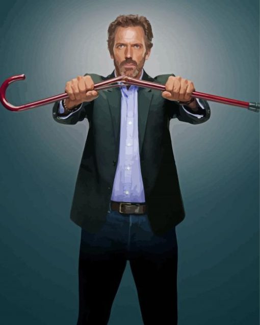 Hugh Laurie Dr House Paint By Numbers