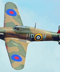 Hurricane Plane Paint By Numbers
