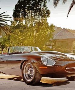 Jaguar E Type With Sunset Paint By Numbers