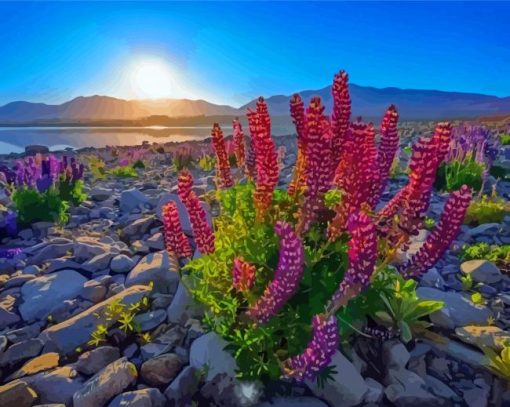 Lake Tekapo At Sunset Paint By Numbers