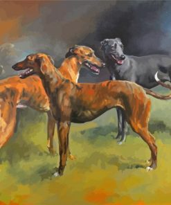 Lurchers Dogs Paint By Numbers