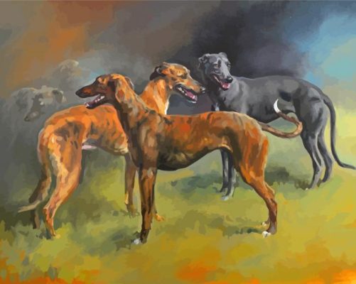 Lurchers Dogs Paint By Numbers