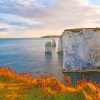 Old Harry Rocks Studland Landscape Paint By Numbers