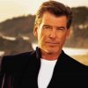 Pierce Brosnan Paint By Numbers