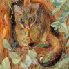 Possum Up A Gum Tree Marianne North Paint By Numbers