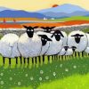 Scotland Sheep Art Paint By Numbers