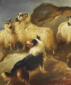 Sheep And Dog Paint By Numbers