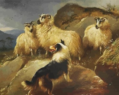 Sheep And Dog Paint By Numbers