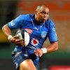 South African Rugby Union Player Cornal Hendricks Paint By Numbers