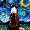 Starry Night Red And White Border Collie Paint By Numbers