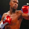 The Boxer Floyd Mayweather Paint By Numbers