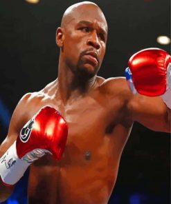 The Boxer Floyd Mayweather Paint By Numbers