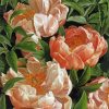The Peony Tulips Paint By Numbers