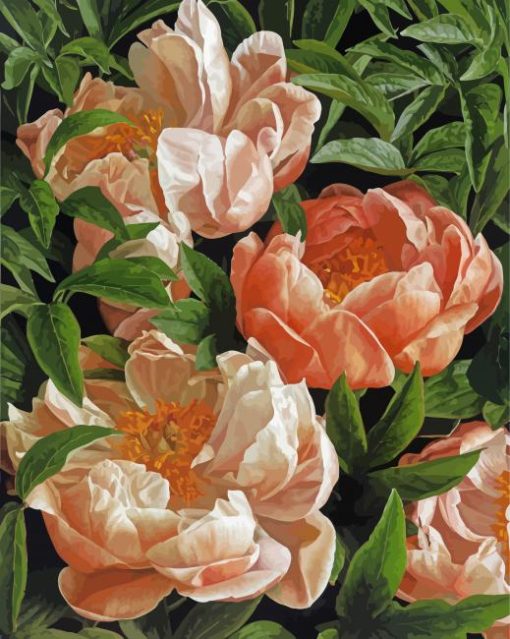 The Peony Tulips Paint By Numbers