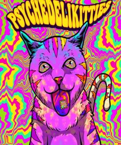 The Psychedelic Cat Paint By Numbers