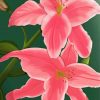 The Pink Lily Flowers Paint By Numbers