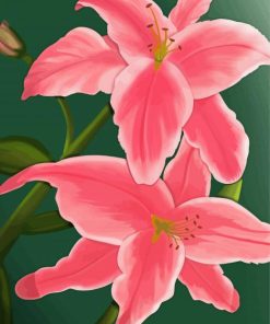 The Pink Lily Flowers Paint By Numbers