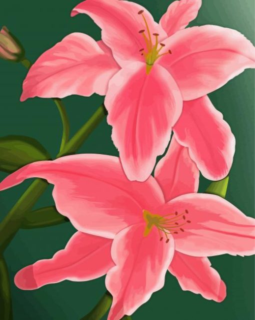 The Pink Lily Flowers Paint By Numbers