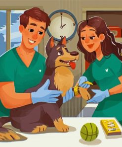 Veterinarians Paint By Numbers
