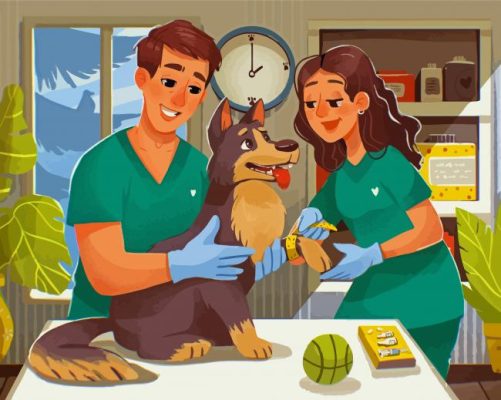 Veterinarians Paint By Numbers