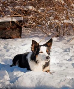 Welsh Sheepdog In Snow Paint By Numbers